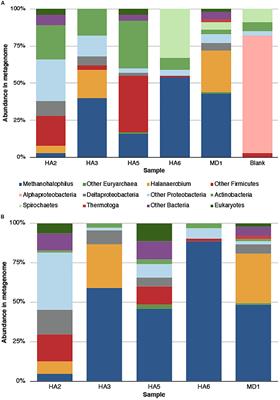 Methanogens Within a High Salinity Oil Reservoir From the Gulf of Mexico